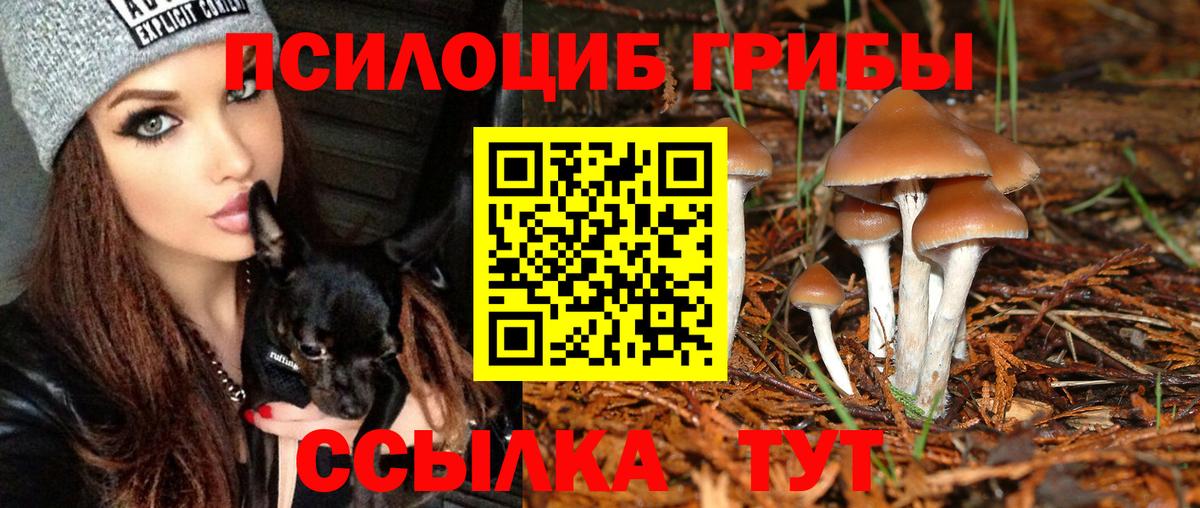 Псилоцибиновые грибы ЛСД  Вход с VPN  Протвино 