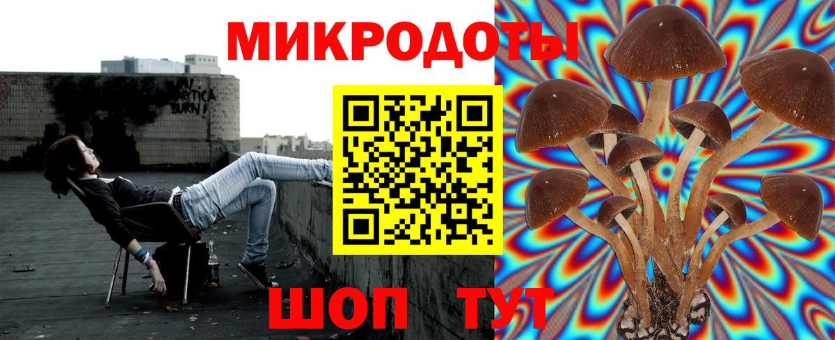 Псилоцибиновые грибы ЛСД Протвино