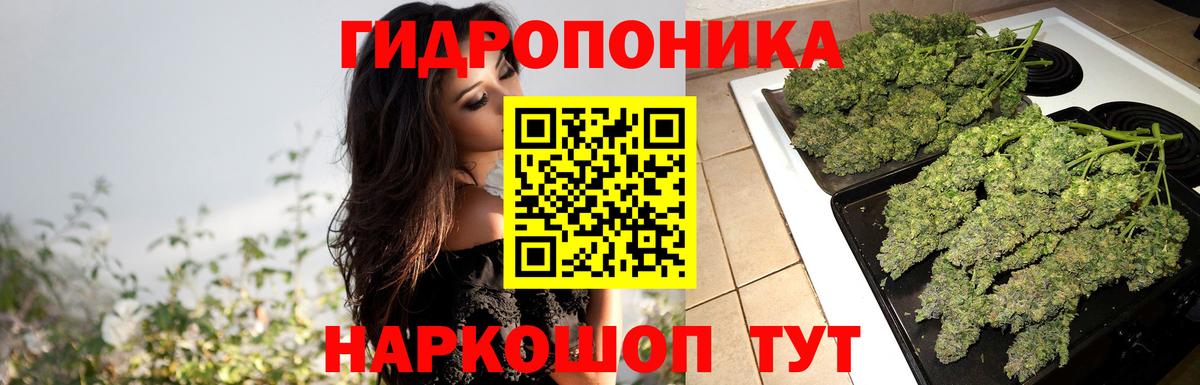 Шишки марихуана конопля Протвино